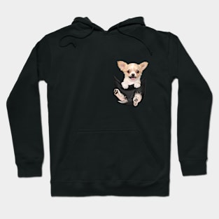 Chiahuahua with love Hoodie